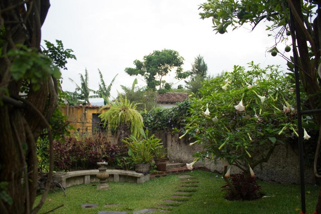 La Casa De Don Pedro Hotel Antigua Kültér fotó